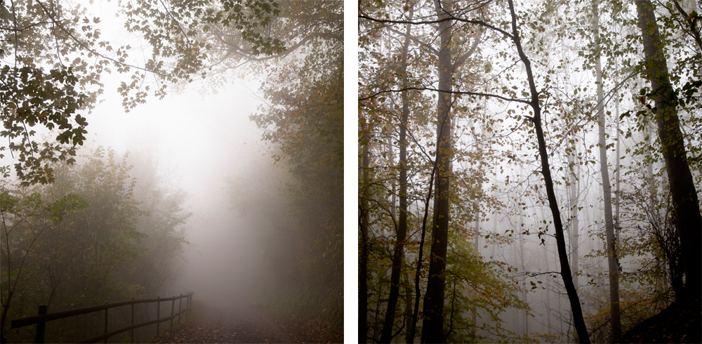 Fog-Nadine_Mojado_5