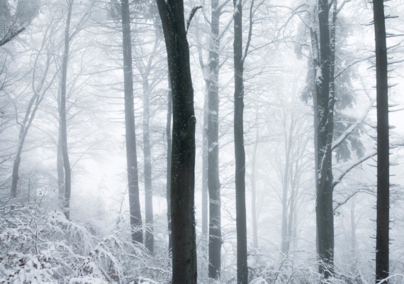 FROZEN UETLIBERG – GLOBAL YODEL